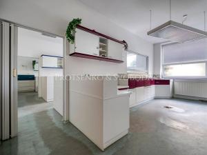 Prodej vily, Bechyně, Čechova, 660 m2