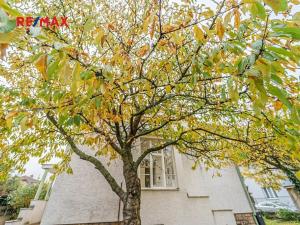 Prodej rodinného domu, Český Brod, Svatopluka Čecha, 214 m2