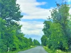 Prodej komerčního pozemku, Měšice, 2035 m2