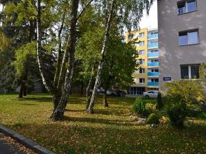 Prodej bytu 1+1, Kladno, Jižní, 37 m2