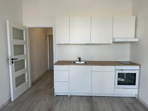 Pronájem bytu 1+kk, Milovice, Slepá, 25 m2