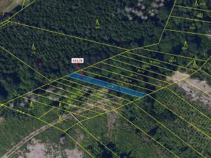 Dražba lesa, Havlíčkův Brod, 212 m2