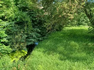 Dražba pozemku, Tuhaň, 11174 m2