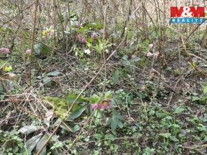 Prodej pozemku pro bydlení, Králův Dvůr, 1439 m2