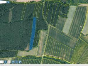 Prodej lesa, Manětín - Stvolny, 12970 m2