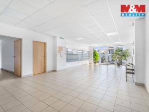 Prodej bytu 1+kk, Mladá Boleslav - Michalovice, 45 m2