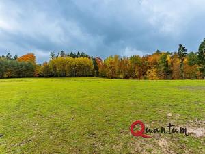 Prodej ubytování, Ždírec, 336 m2