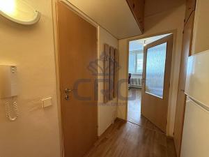 Pronájem bytu 1+kk, Brno - Lesná, Halasovo náměstí, 21 m2