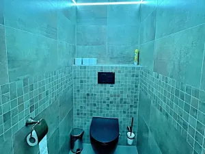 Prodej restaurace, Nová Ves, 278 m2