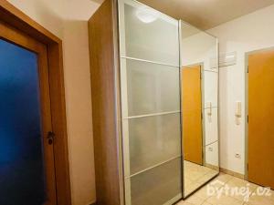 Pronájem bytu 2+kk, Zastávka, Havířská, 58 m2