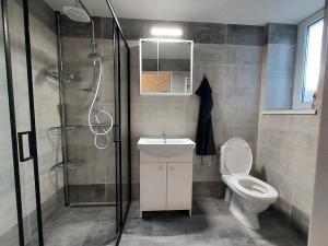 Pronájem bytu 1+1, Meziboří, Okružní, 40 m2