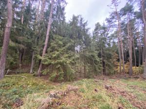 Prodej lesa, Srbice - Těšovice, 3279 m2