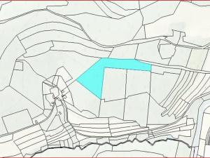 Dražba lesa, Ústí nad Labem, 11769 m2