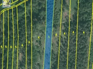 Dražba lesa, Blížejov, 3197 m2