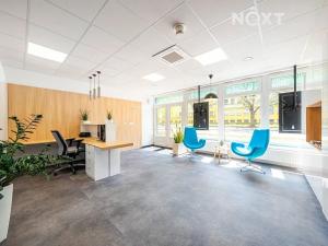 Pronájem obchodního prostoru, Pardubice, Na Spravedlnosti, 200 m2