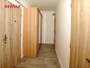 Pronájem bytu 1+1, Plzeň, Krejčíkova, 42 m2