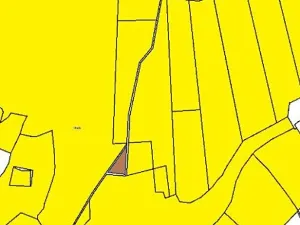 Prodej lesa, Zachotín, 792 m2