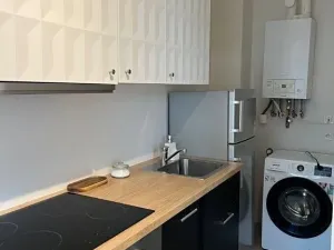 Pronájem bytu 2+kk, Praha - Nusle, Mečislavova, 41 m2