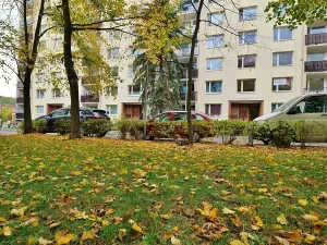 Pronájem bytu 1+1, Ústí nad Labem, Maková, 36 m2