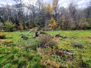 Prodej pozemku pro bydlení, Kostelec, 1097 m2