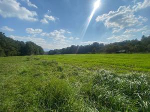 Prodej domu, Horní Bludovice, 524 m2