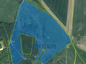 Prodej pole, Stříbro, 224265 m2