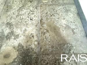 Prodej bytu 2+1, Brno, Křenová, 54 m2