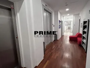 Pronájem kanceláře, Praha - Nové Město, Spálená, 406 m2