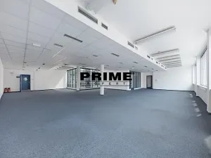 Pronájem kanceláře, Praha - Nové Město, Krakovská, 412 m2