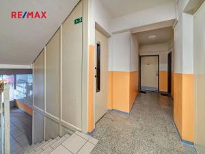 Pronájem bytu 1+kk, Kolín, Dělnická, 20 m2