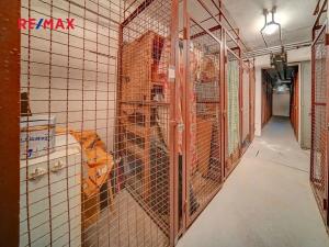 Pronájem bytu 1+kk, Kolín, Dělnická, 20 m2