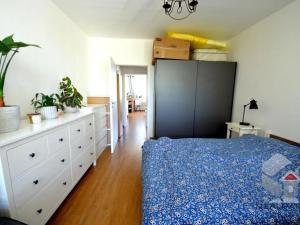 Pronájem bytu 2+kk, Brno, Kunštátská, 57 m2