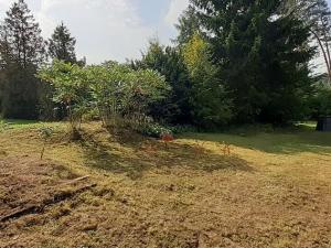 Prodej pozemku pro bydlení, Samopše, 1526 m2