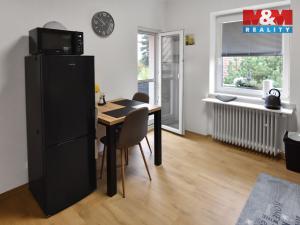 Pronájem bytu 1+kk, Plazy, 30 m2