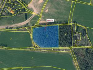 Dražba lesa, Cvikov, 8809 m2