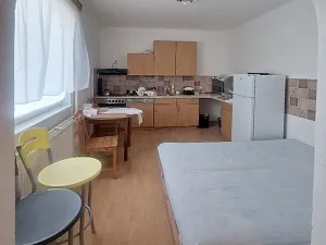 Pronájem pokoje, Praha - Stodůlky, Pod viaduktem, 40 m2