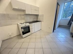 Pronájem bytu 1+1, Liberec, Tanvaldská, 40 m2