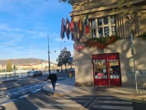 Pronájem bytu 2+1, Praha - Nové Město, Na výtoni, 85 m2