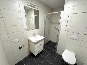 Pronájem bytu 1+kk, Litomyšl, Z. Kopala, 36 m2