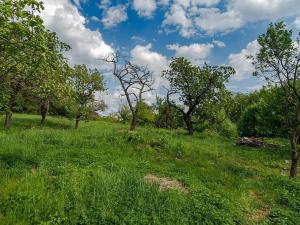 Prodej rodinného domu, Veliny, 157 m2