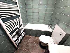 Pronájem bytu 1+1, Hradec Králové, Pražská třída, 45 m2