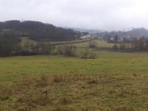 Prodej pole, Lovečkovice, 21494 m2