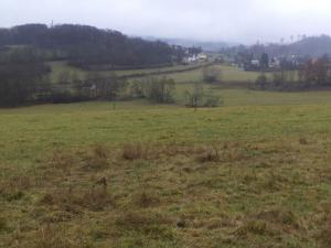 Prodej pole, Lovečkovice, 21494 m2