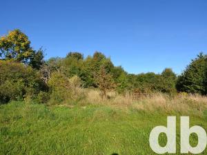 Prodej pozemku pro bydlení, Toužim, 8027 m2