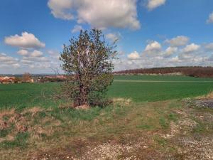 Prodej pole, Lišice, 205582 m2