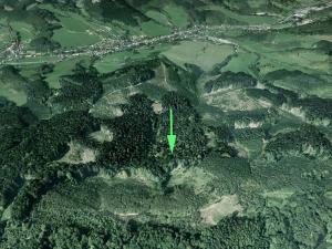 Prodej lesa, Lhota u Vsetína, 16652 m2