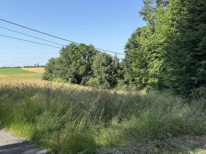 Pronájem louky, Ostrava - Polanka nad Odrou, K Lípě, 9850 m2