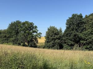 Pronájem louky, Ostrava - Polanka nad Odrou, K Lípě, 9850 m2