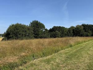 Pronájem louky, Ostrava - Polanka nad Odrou, K Lípě, 9850 m2