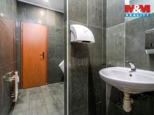 Prodej obchodního prostoru, Praha, Trnkovo náměstí, 324 m2